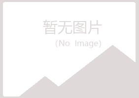 陆川县藏心能源有限公司